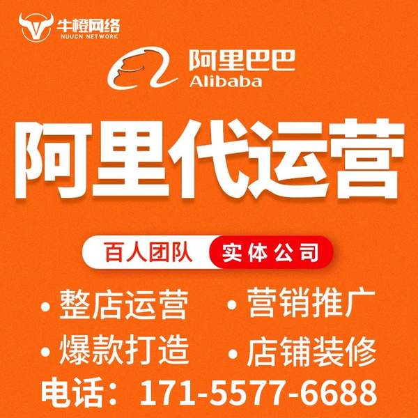 亳州电商代运营