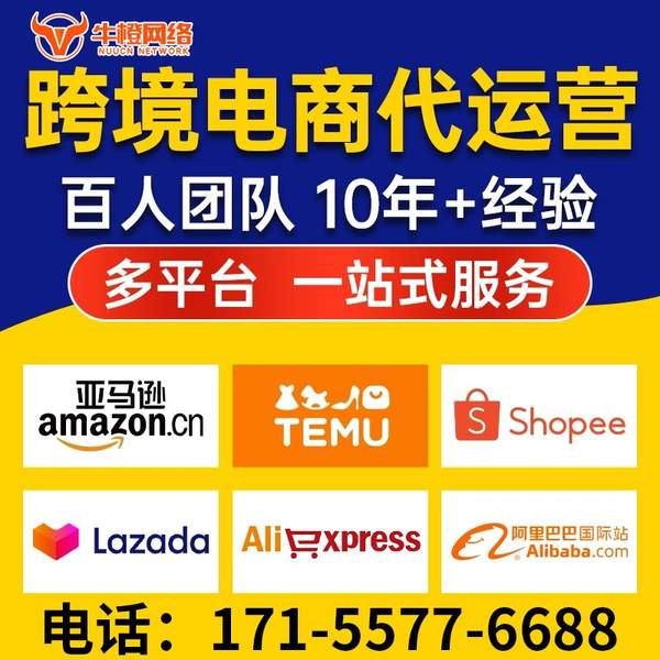 亳州电商代运营