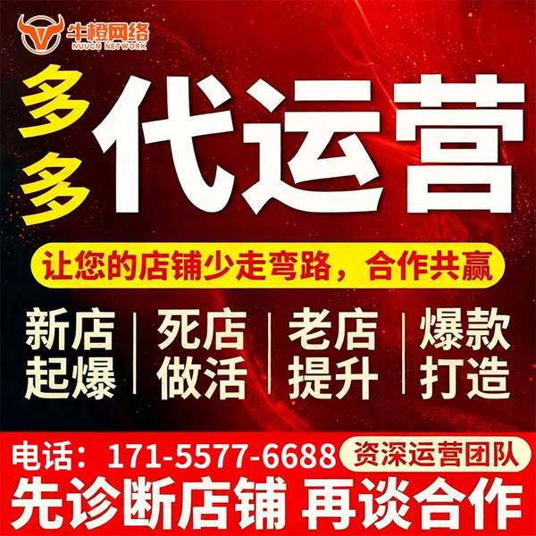 亳州电商代运营