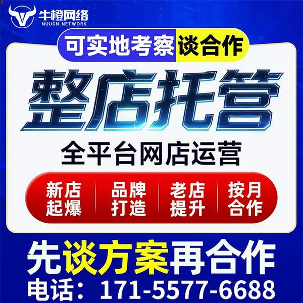 亳州电商代运营