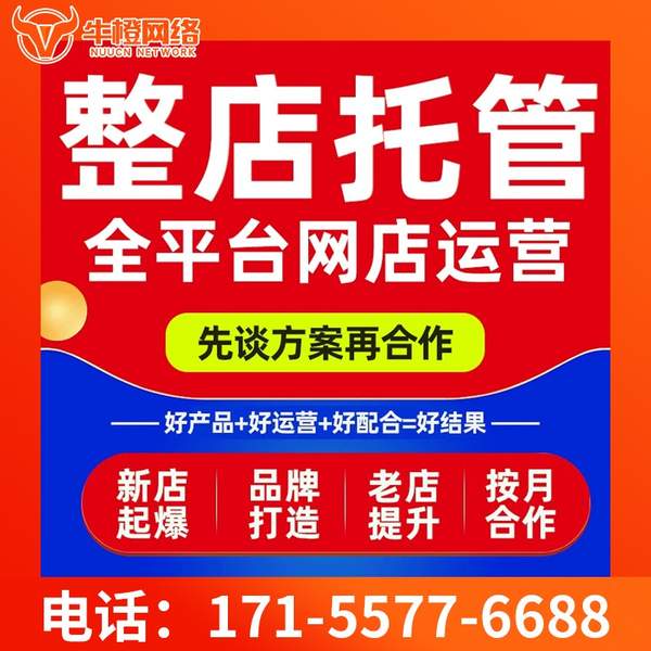 亳州电商代运营