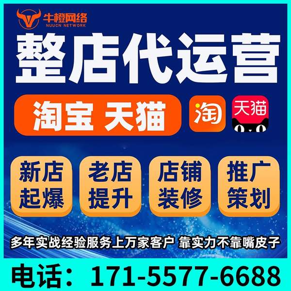 亳州电商代运营