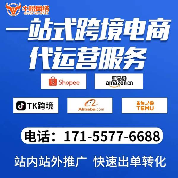 亳州电商代运营