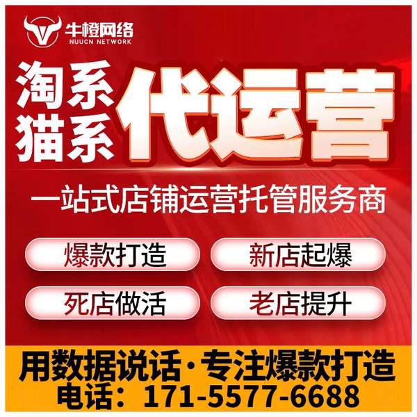 亳州电商代运营